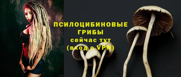 дмт Медвежьегорск