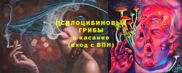 дмт Медвежьегорск