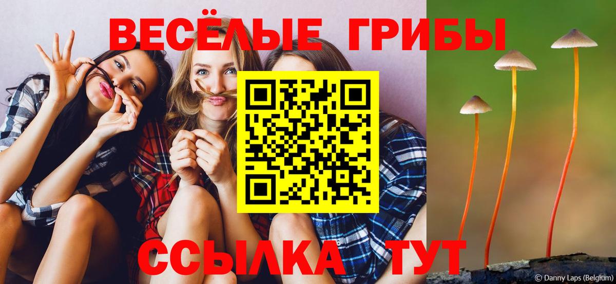 Псилоцибиновые грибы мицелий  Казань 