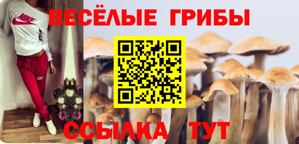 Галлюциногенные грибы мицелий Казань